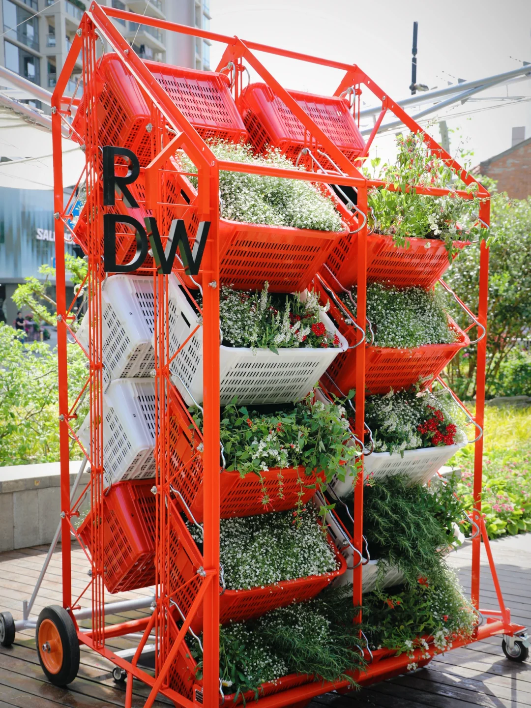 嗲呀‼️新天地不愧是上海花展主会场?附攻略