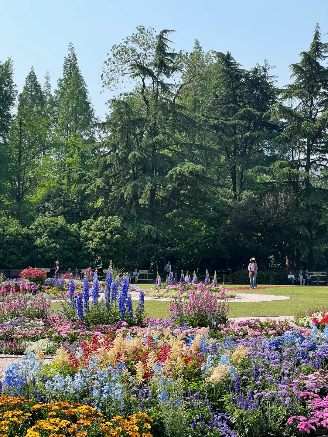 春日欢迎会｜有2w人周末去的上海赏花路线?