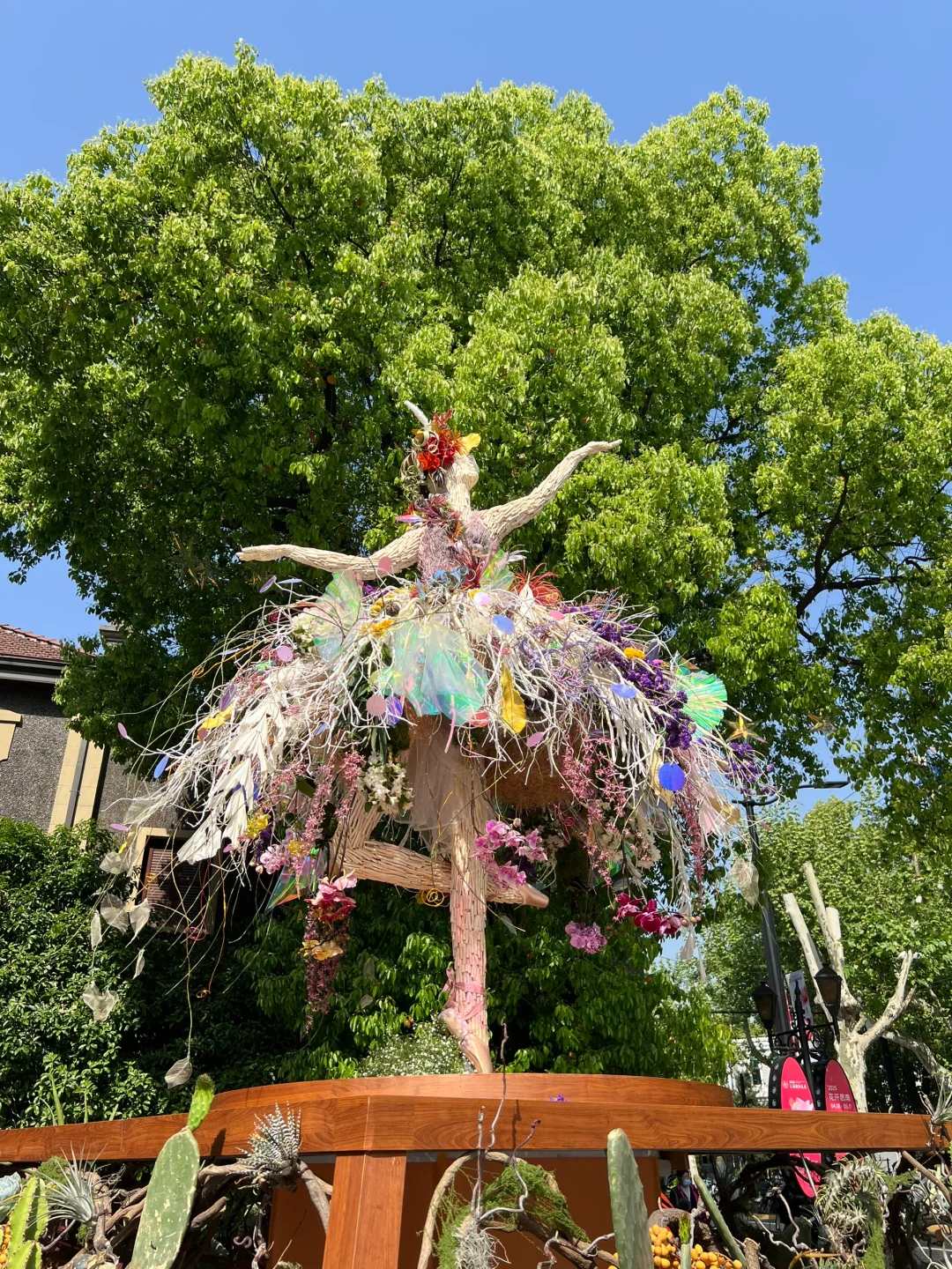 春日欢迎会｜有2w人周末去的上海赏花路线?