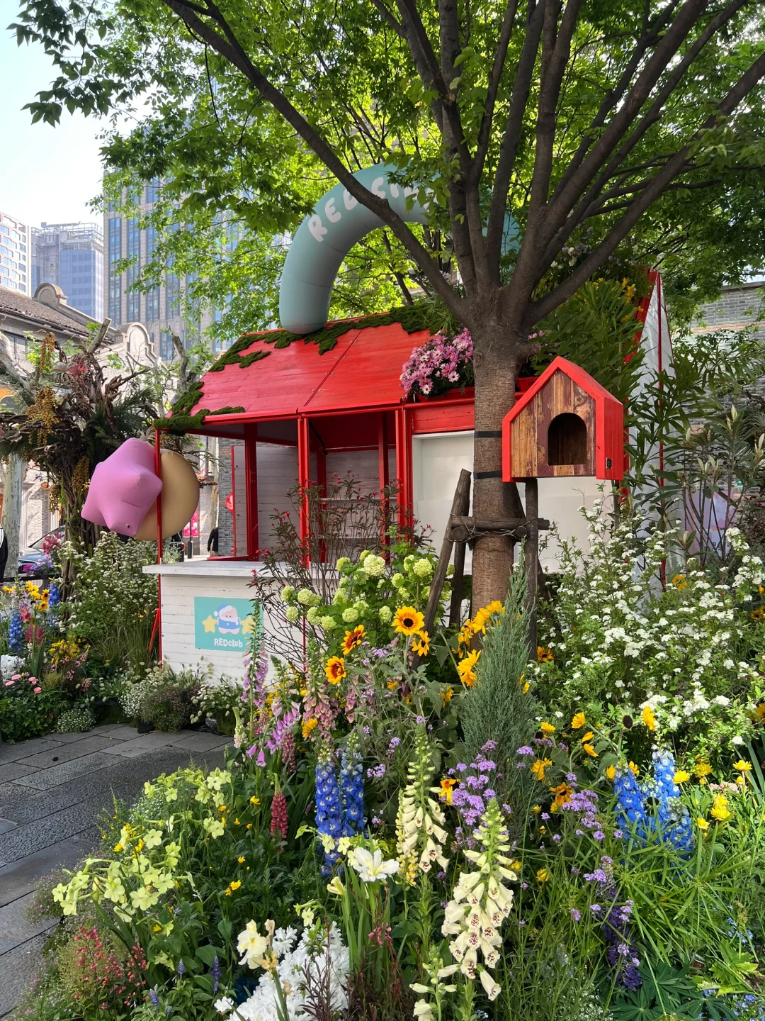 春日欢迎会｜有2w人周末去的上海赏花路线?