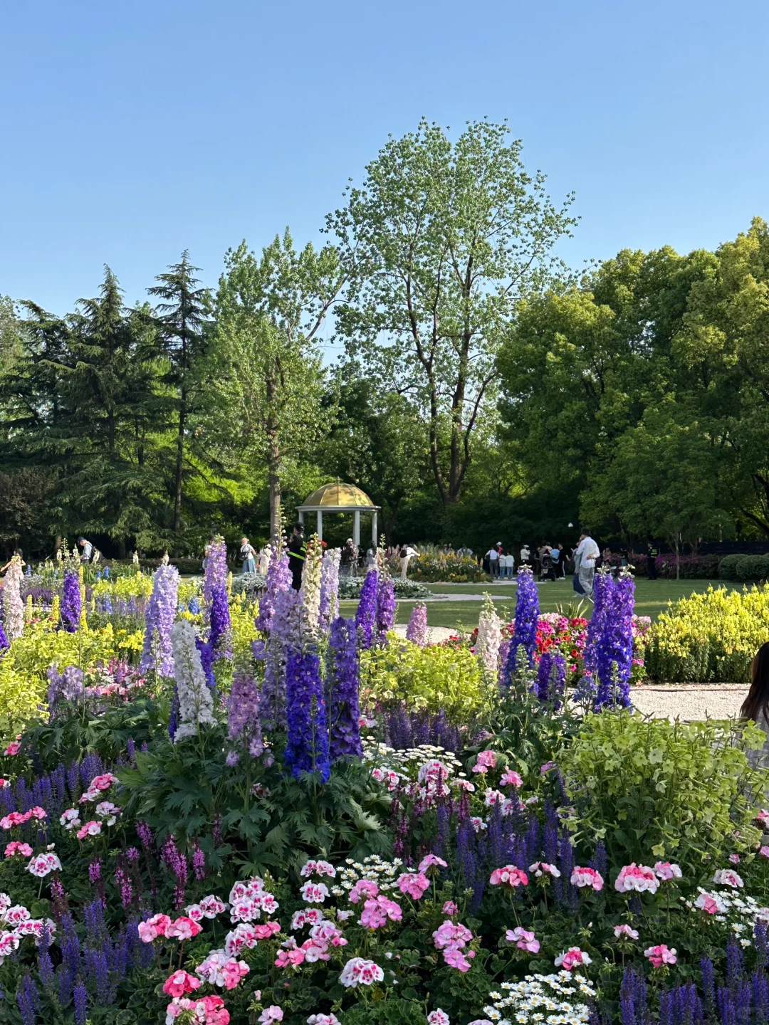 春日欢迎会｜?上海花展1.5h懒人赏花路线！