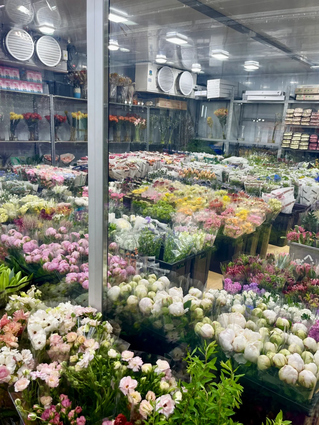 重庆买鲜花｜会展花市怎么逛？