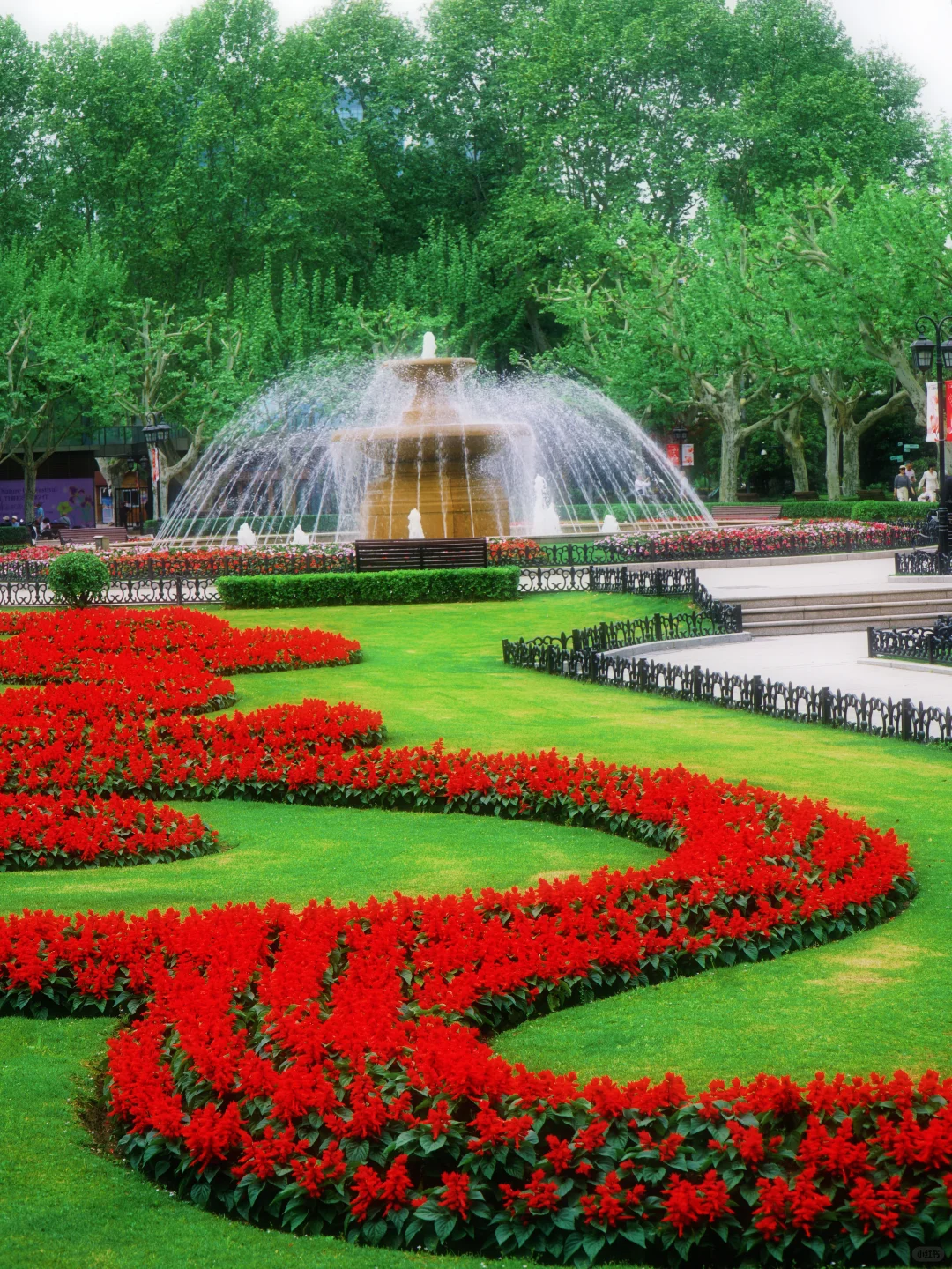 4.17花情实况播报?复兴公园花展全攻略！