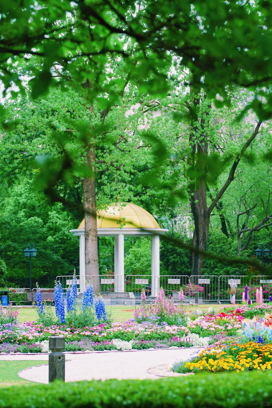 4.17花情实况播报?复兴公园花展全攻略！