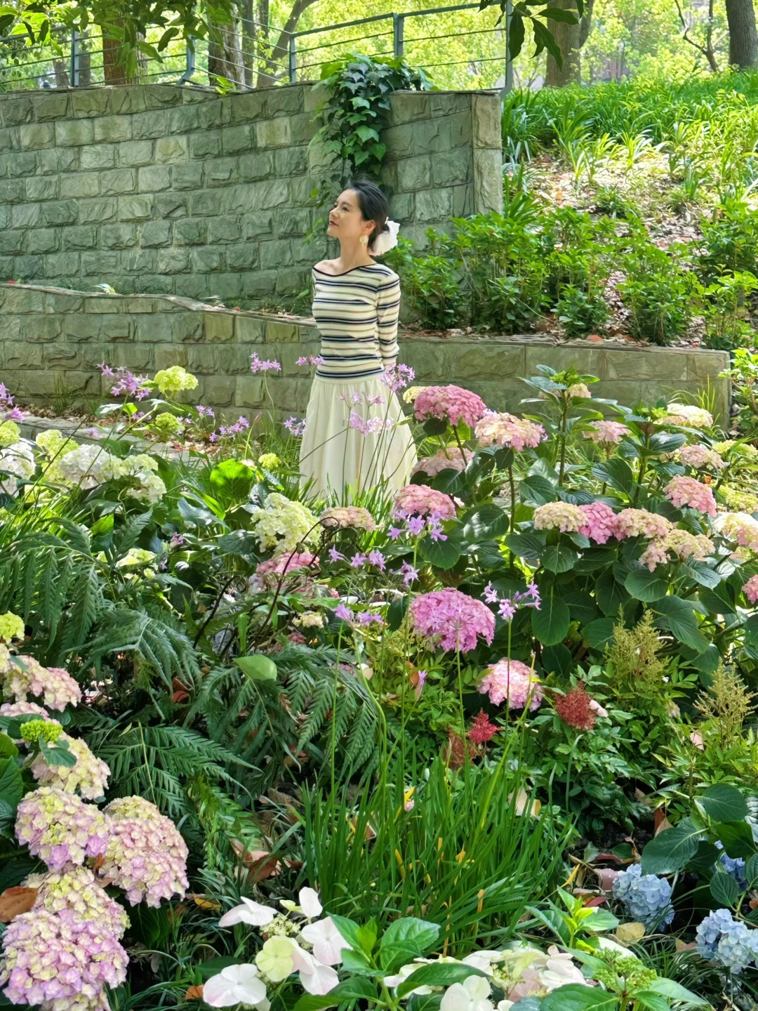 上海花展新天地机位?这篇都帮你整理好了?