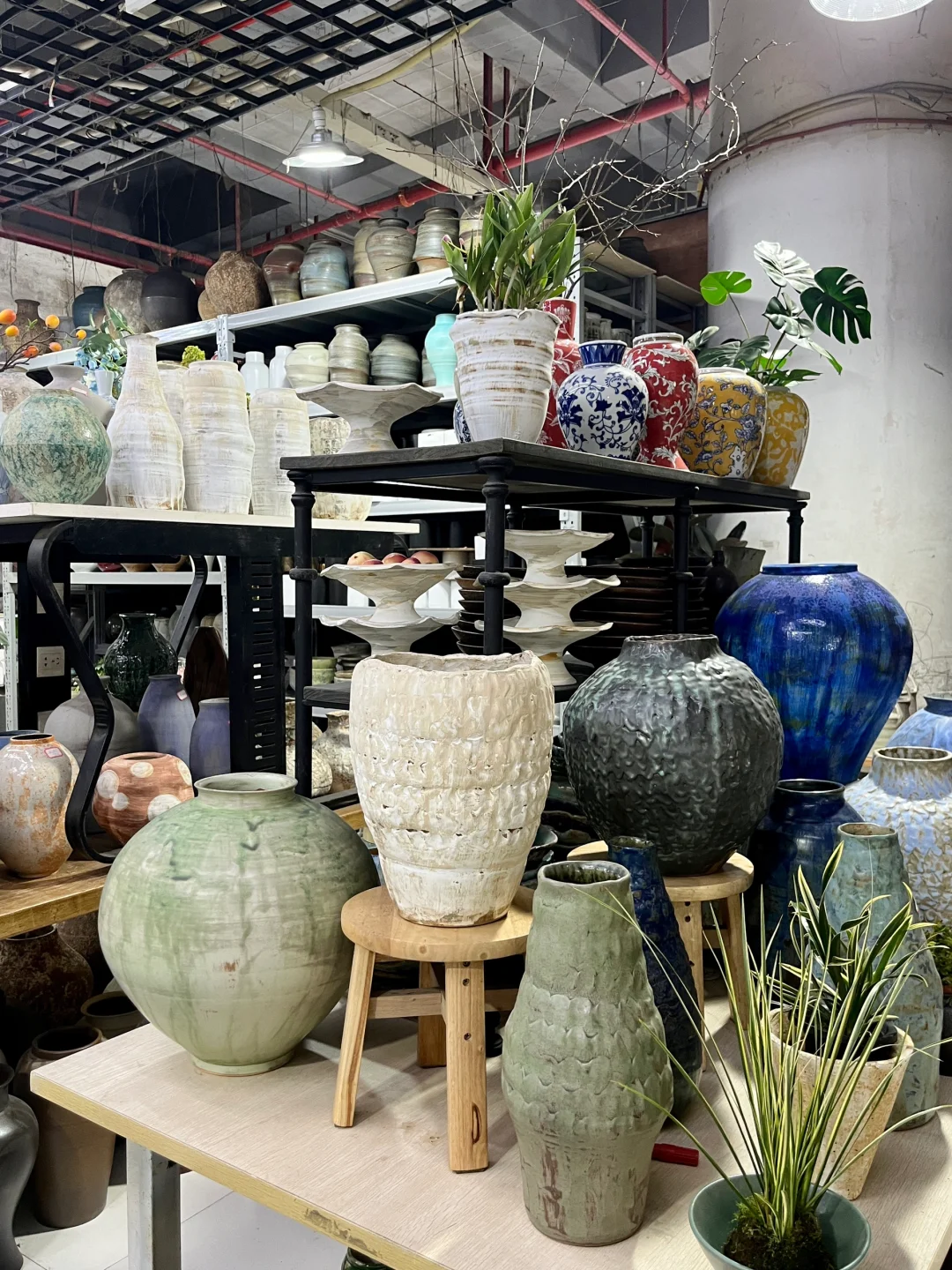 重庆买鲜花｜会展花市怎么逛？