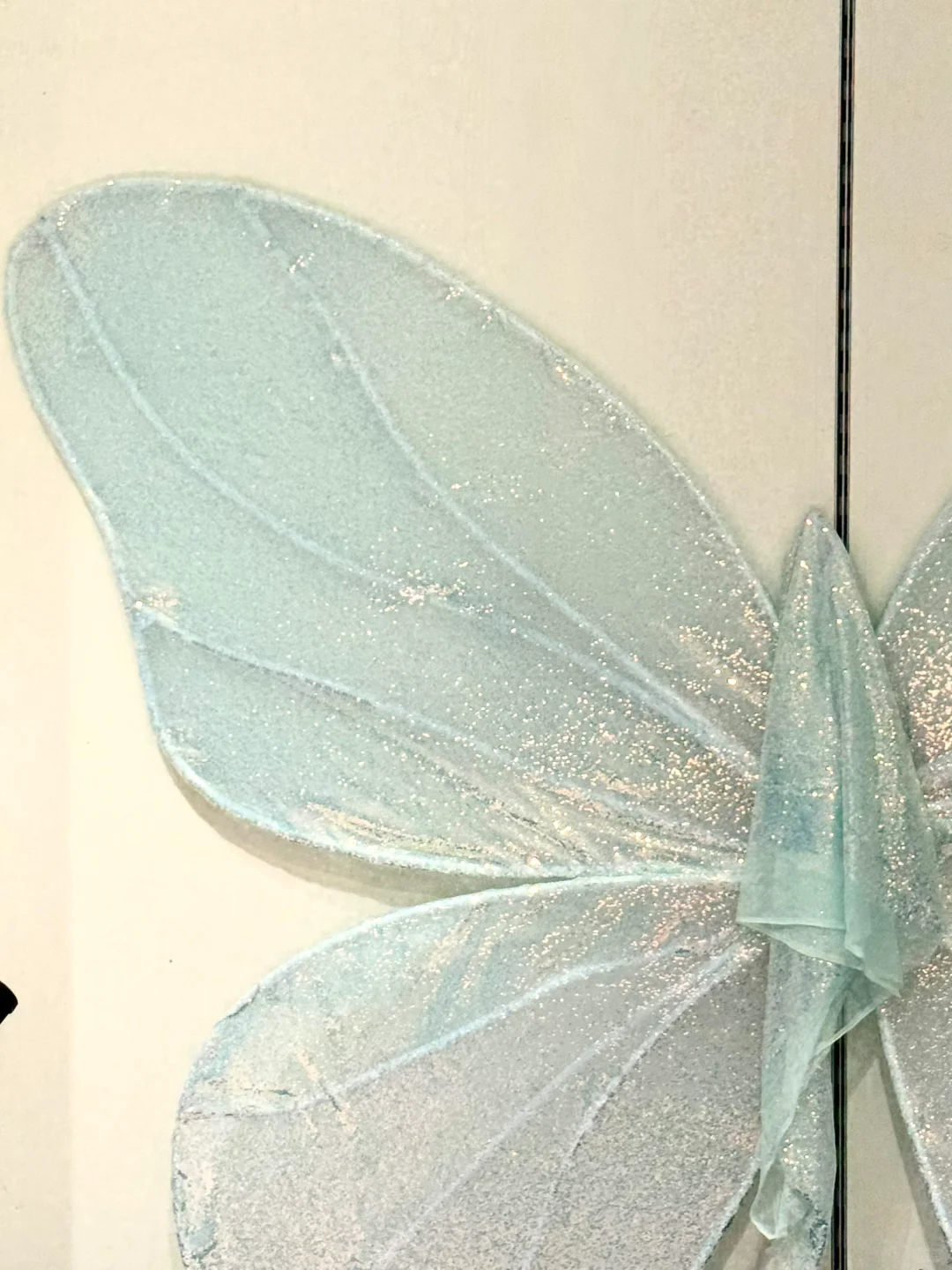 深圳新展｜?华南首家超500 m²大型蝴蝶展