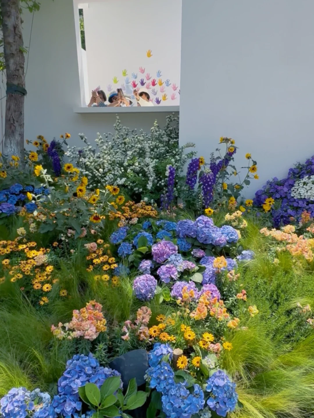 上海花展新天地机位?这篇都帮你整理好了?