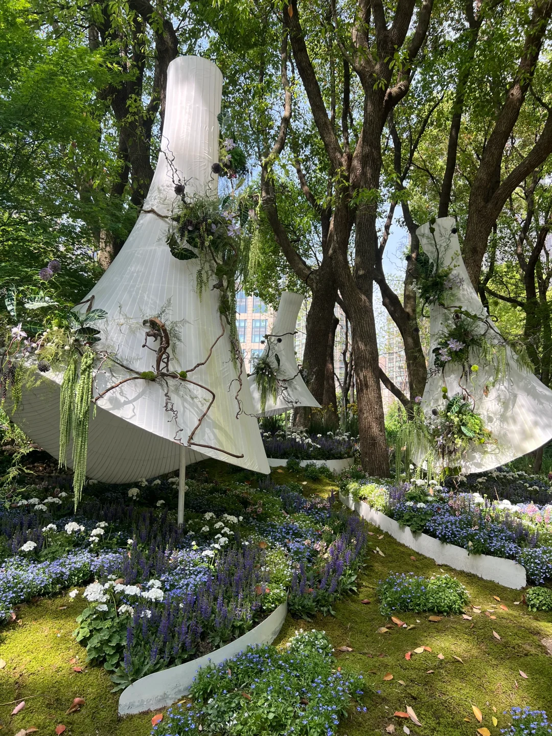 春日欢迎会｜有2w人周末去的上海赏花路线?