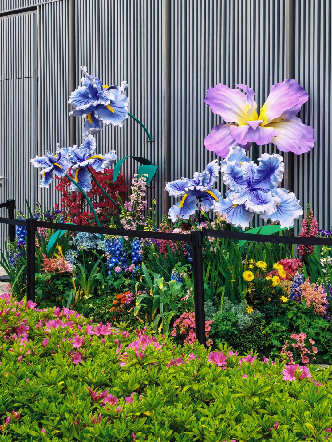 前滩国际花展：路线图已画好！拿去逛吧！