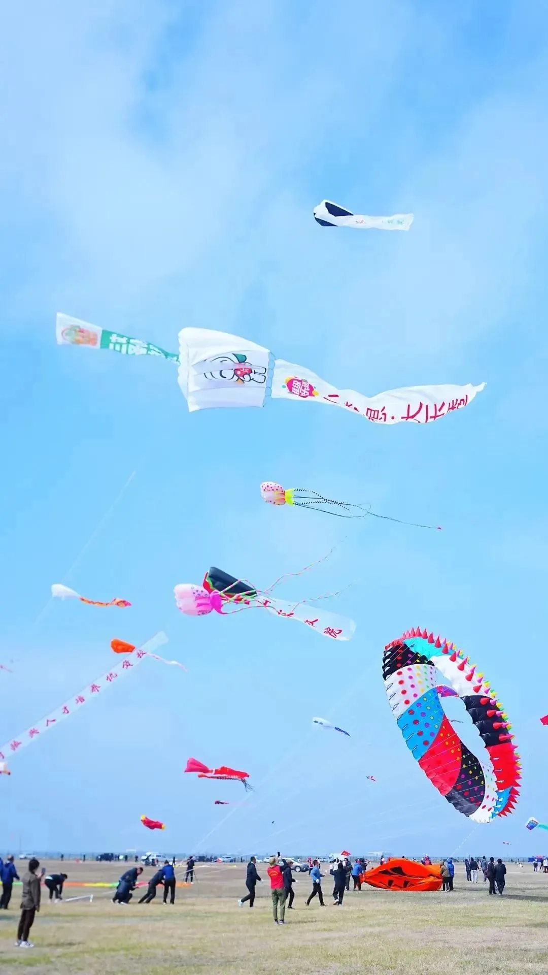 ?潍坊风筝节:万物皆可飞！