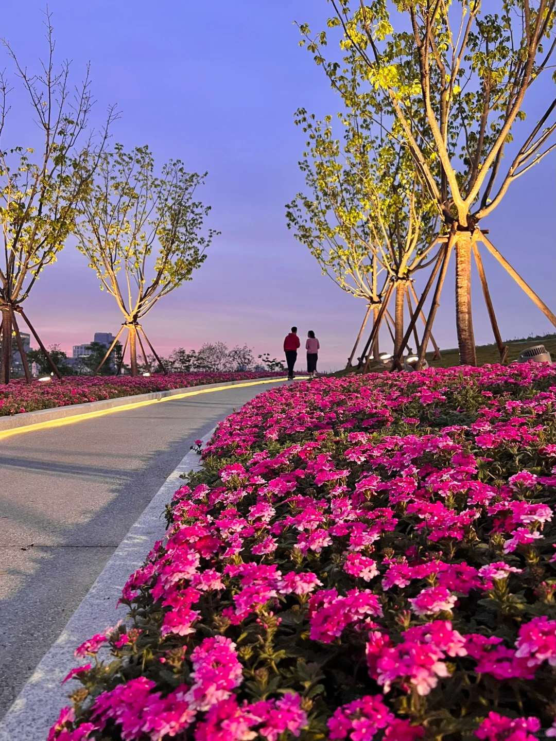 春日欢迎会|上海花展简直莫奈花园+爱乐之城