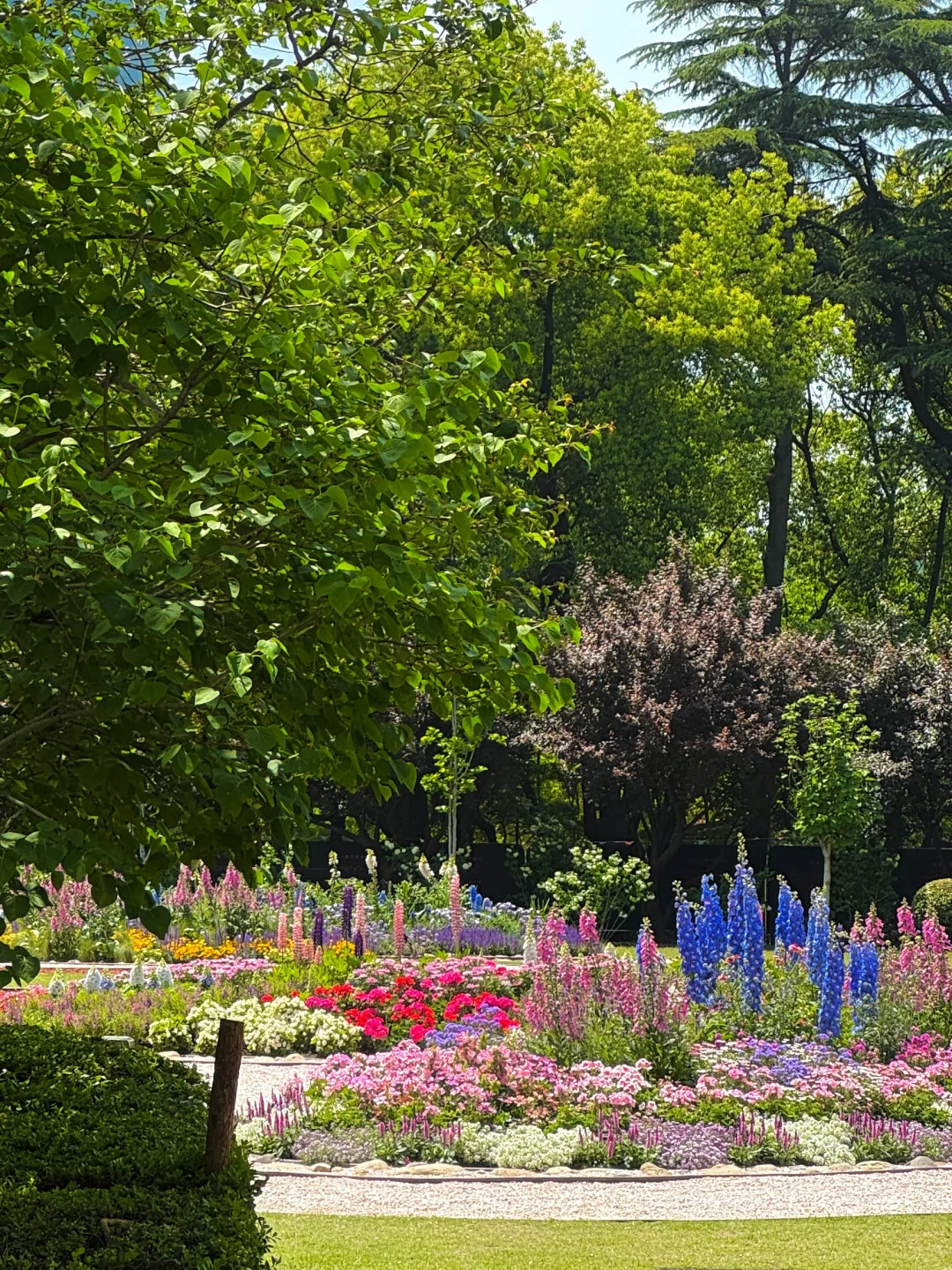 魔都看展|春日必看展?城市中心的莫奈花园