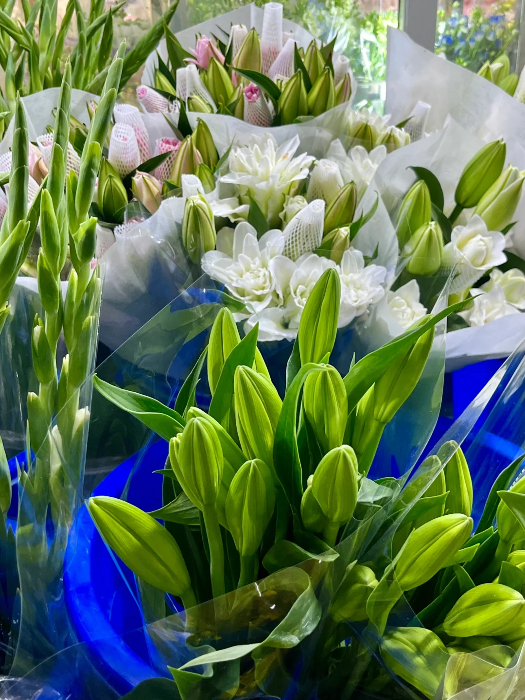 重庆买鲜花｜会展花市怎么逛？