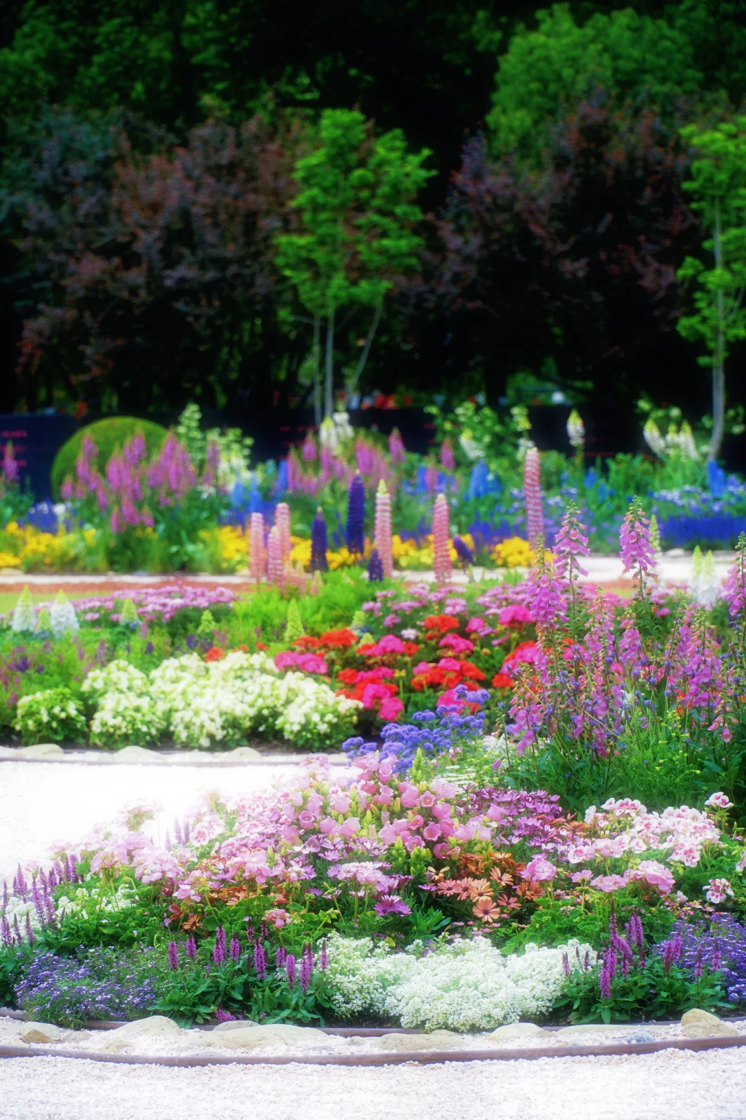 4.17花情实况播报?复兴公园花展全攻略！