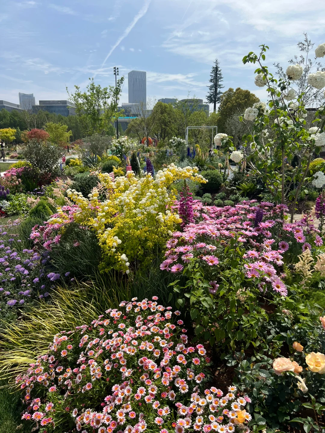 春日欢迎会｜周末有3w人去的上海赏花路线?