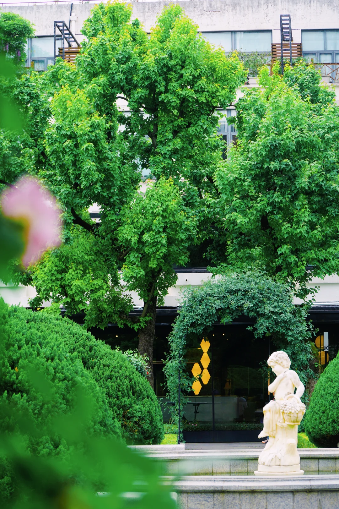 4.17花情实况播报?复兴公园花展全攻略！