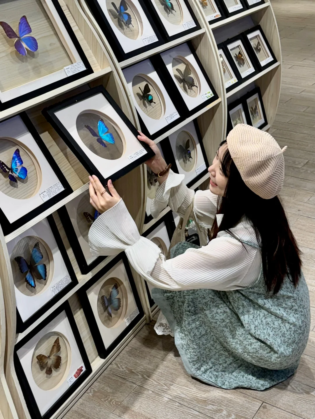 深圳新展｜?华南首家超500 m²大型蝴蝶展