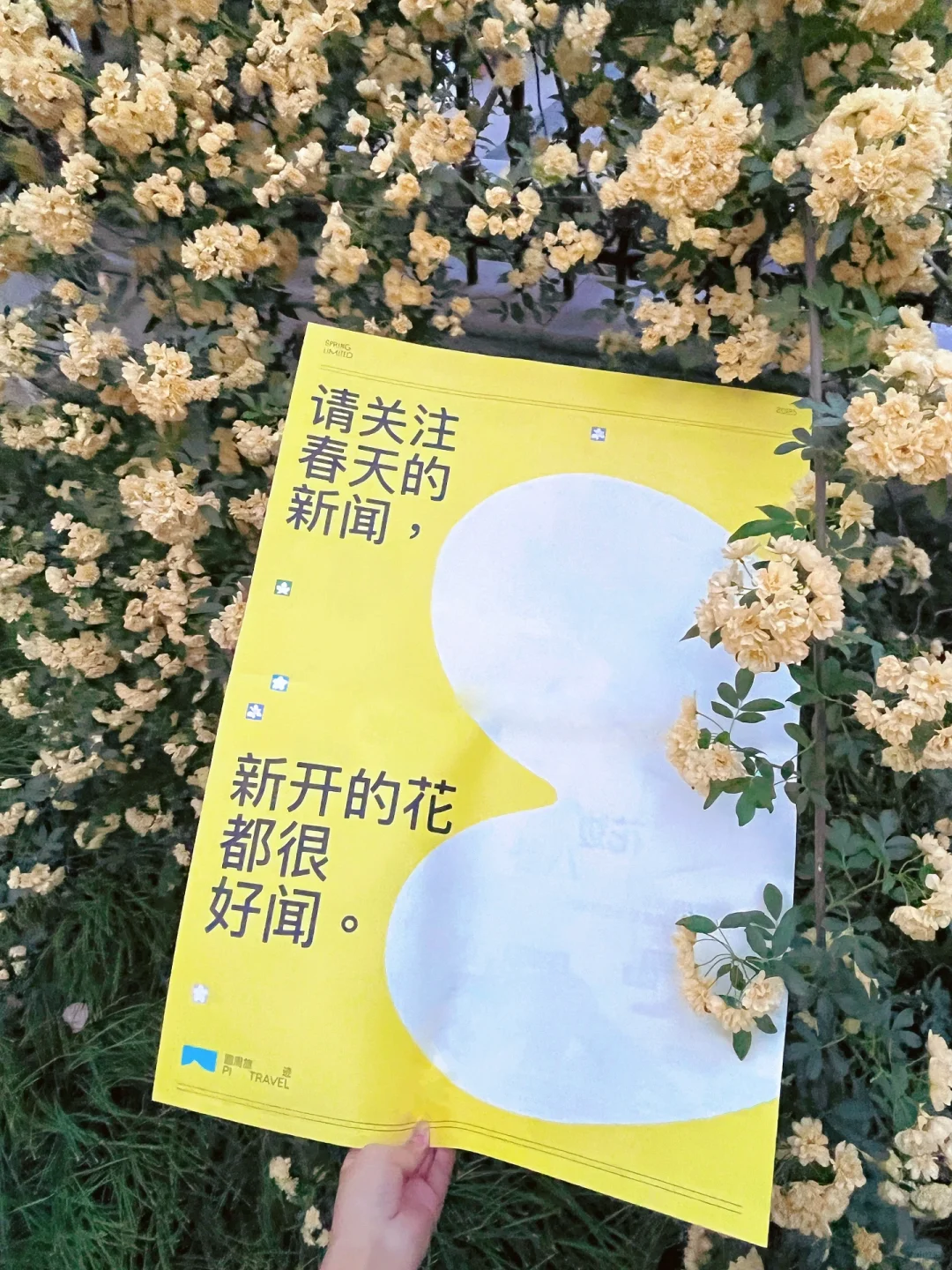 上海超全的2025国际花展花期指南来了！！