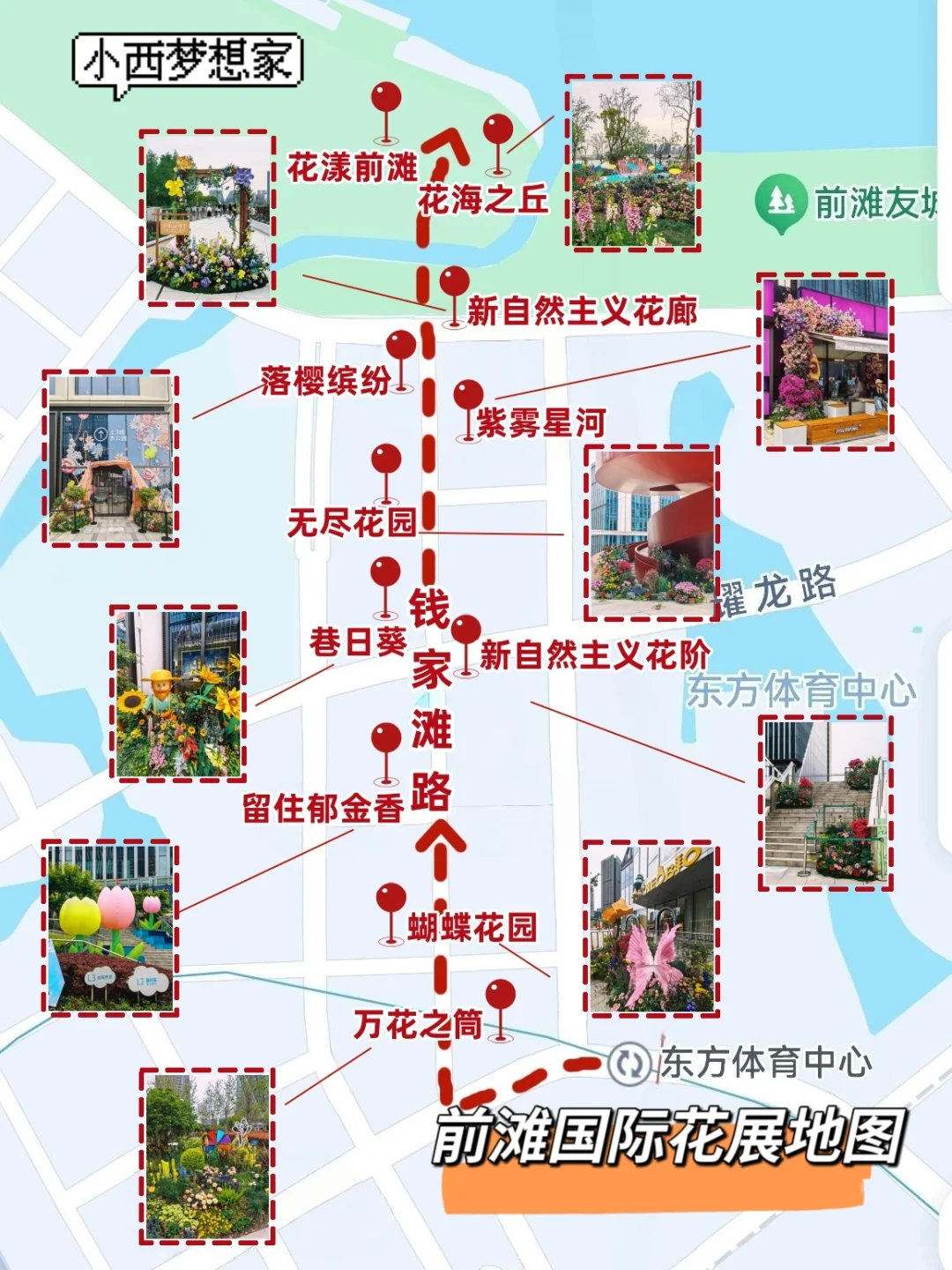 前滩国际花展：路线图已画好！拿去逛吧！