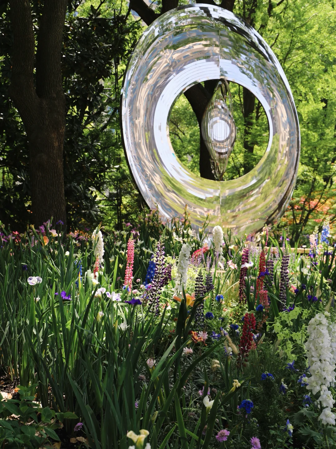 嗲呀‼️新天地不愧是上海花展主会场?附攻略