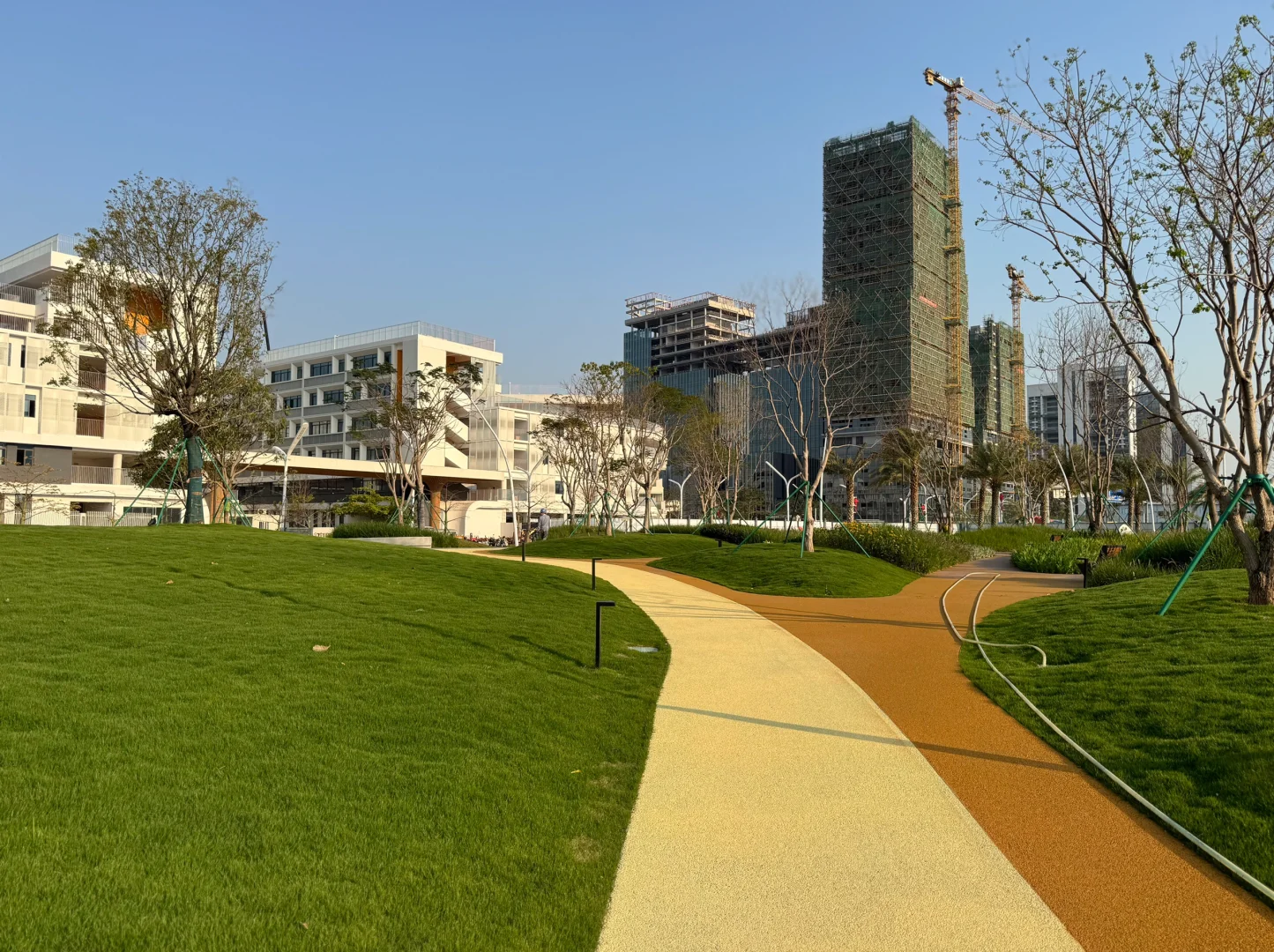 会展城实验学校旁街心公园