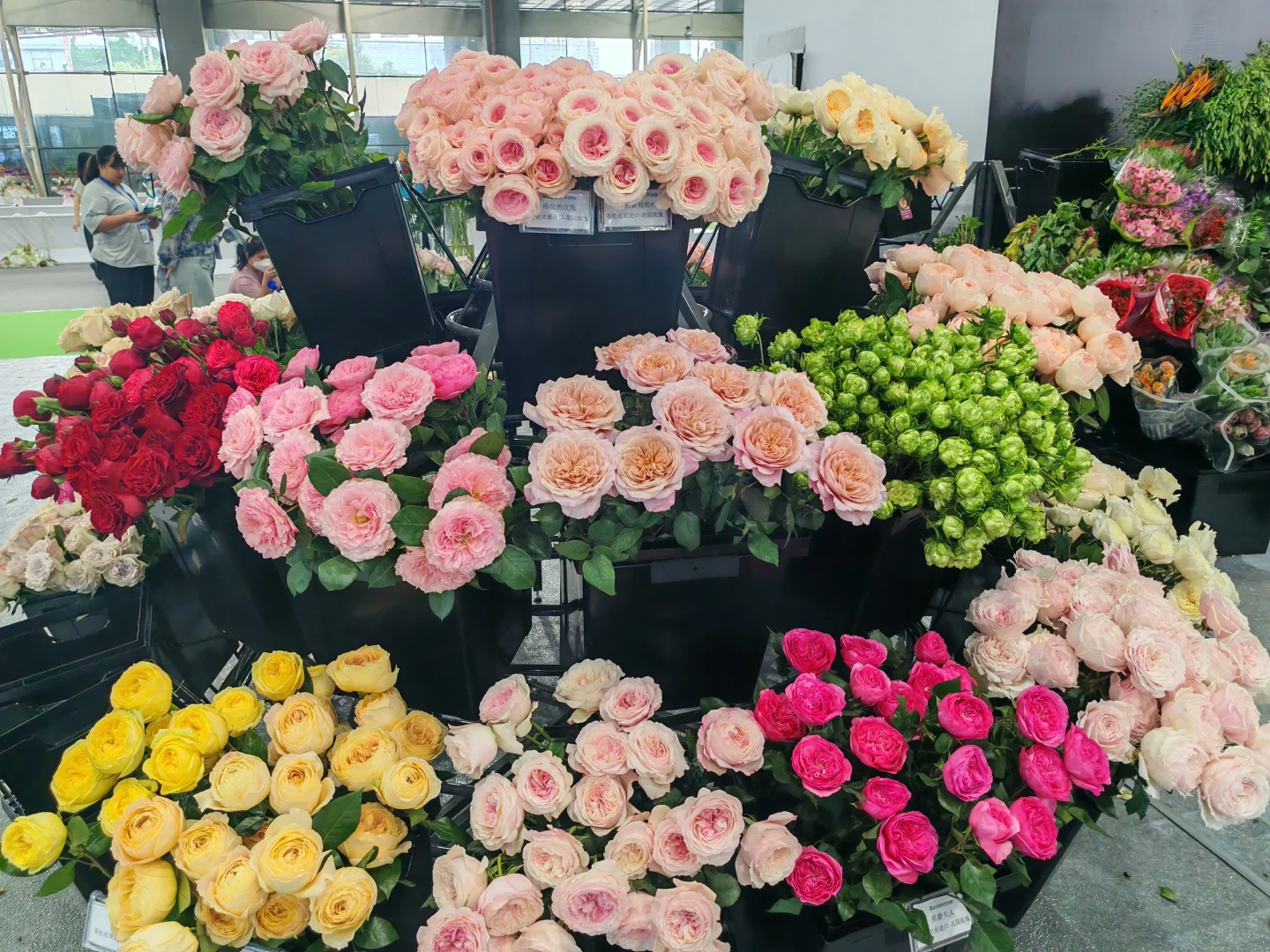 亚洲花卉产业博览会｜第16届