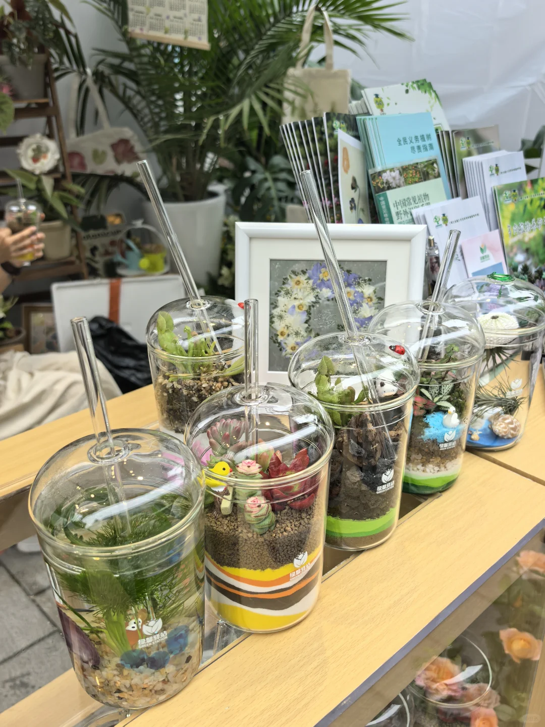 前滩花展薅羊毛