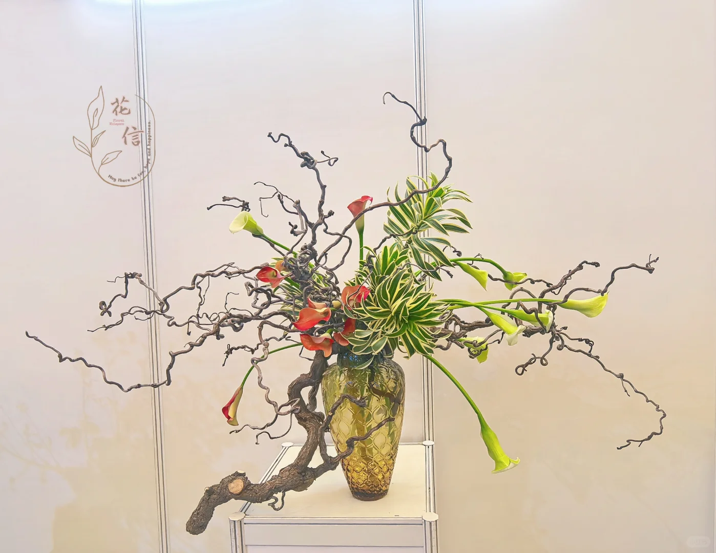 第27届国际花卉园艺博览会，变化还是明显的