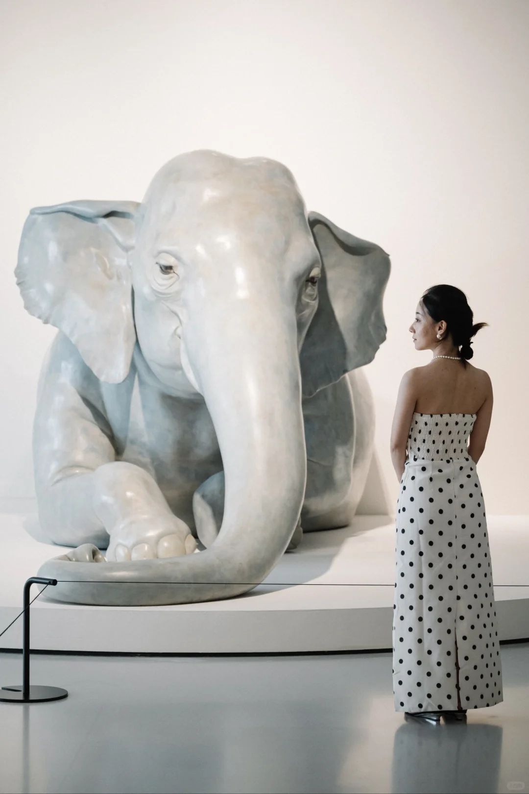 广州超出片新展 Ⅰ 奇兽众生,完美却忧愁