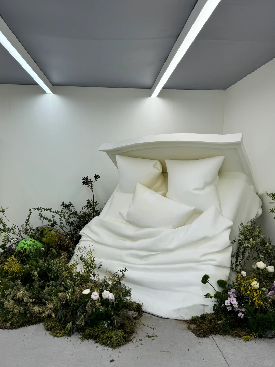 北京可以领到免费花花托特包的小众展览?