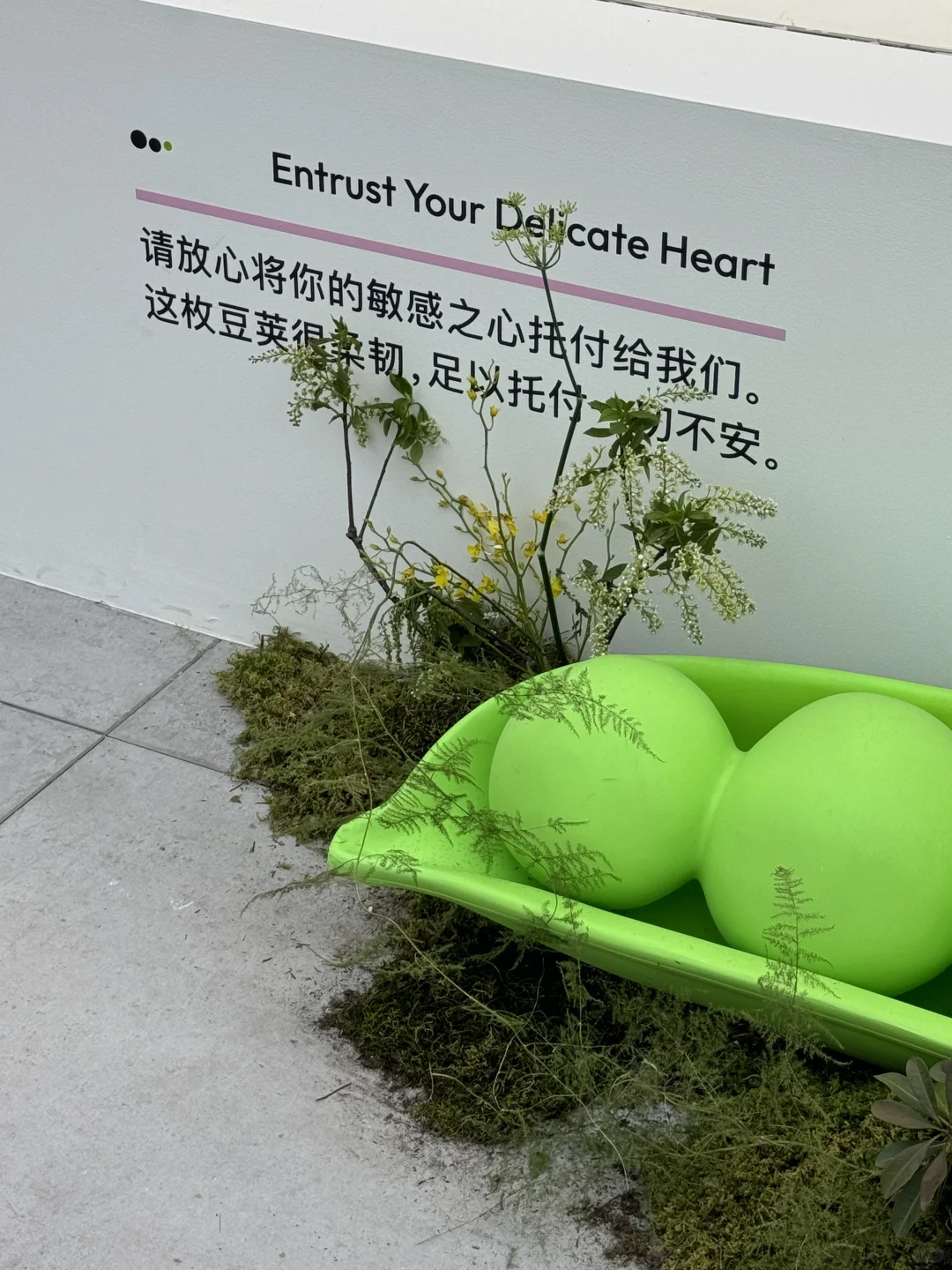 北京可以领到免费花花托特包的小众展览?