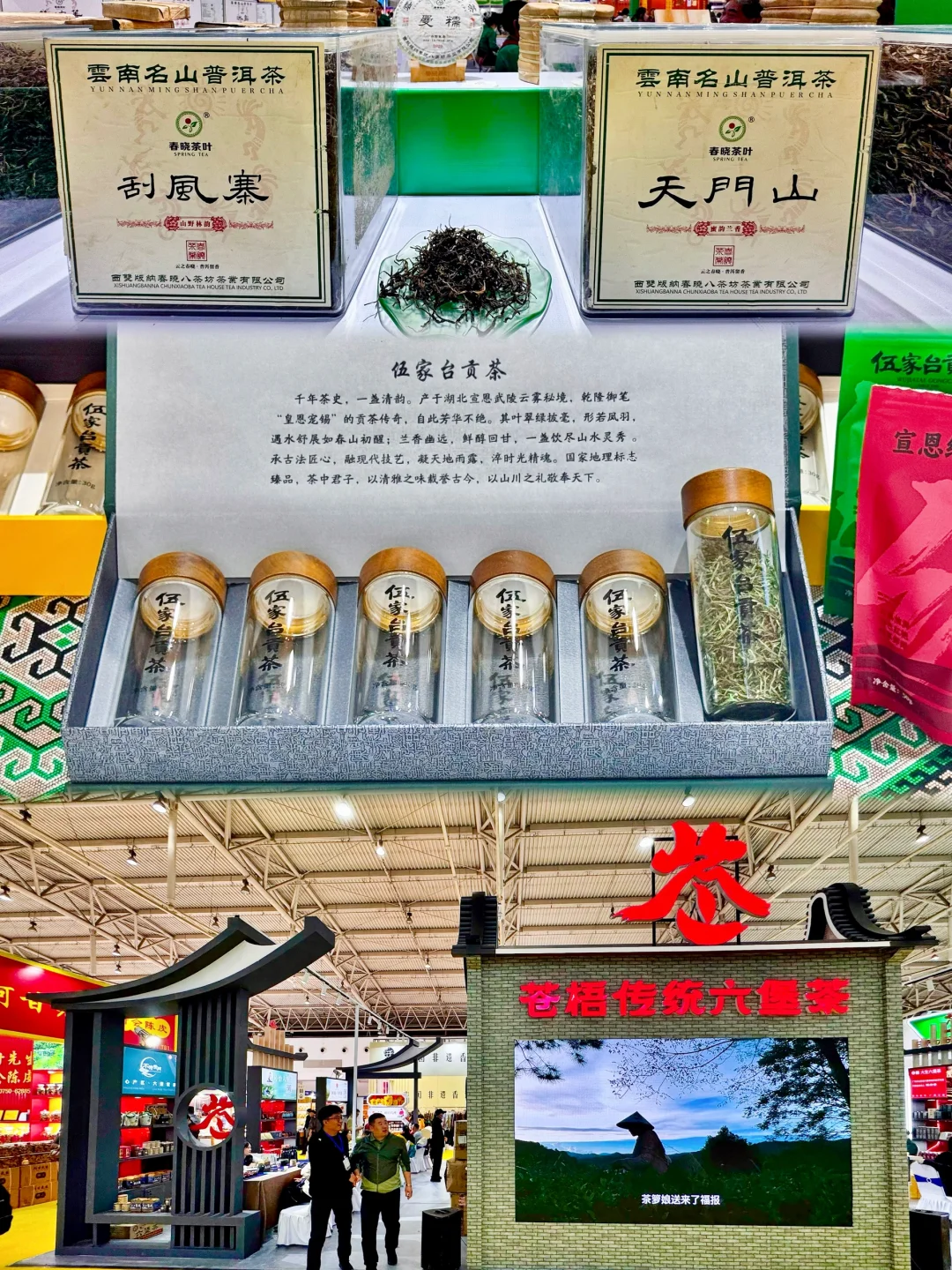 “茶小白”勇闯茶博会…问就是醉茶了??‍?