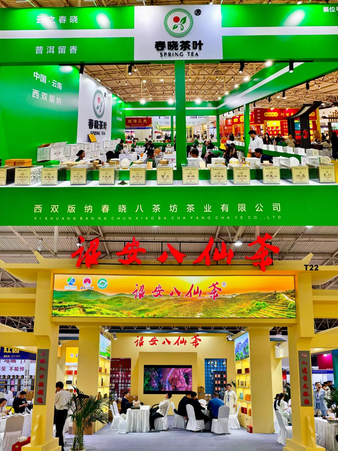 “茶小白”勇闯茶博会…问就是醉茶了??‍?