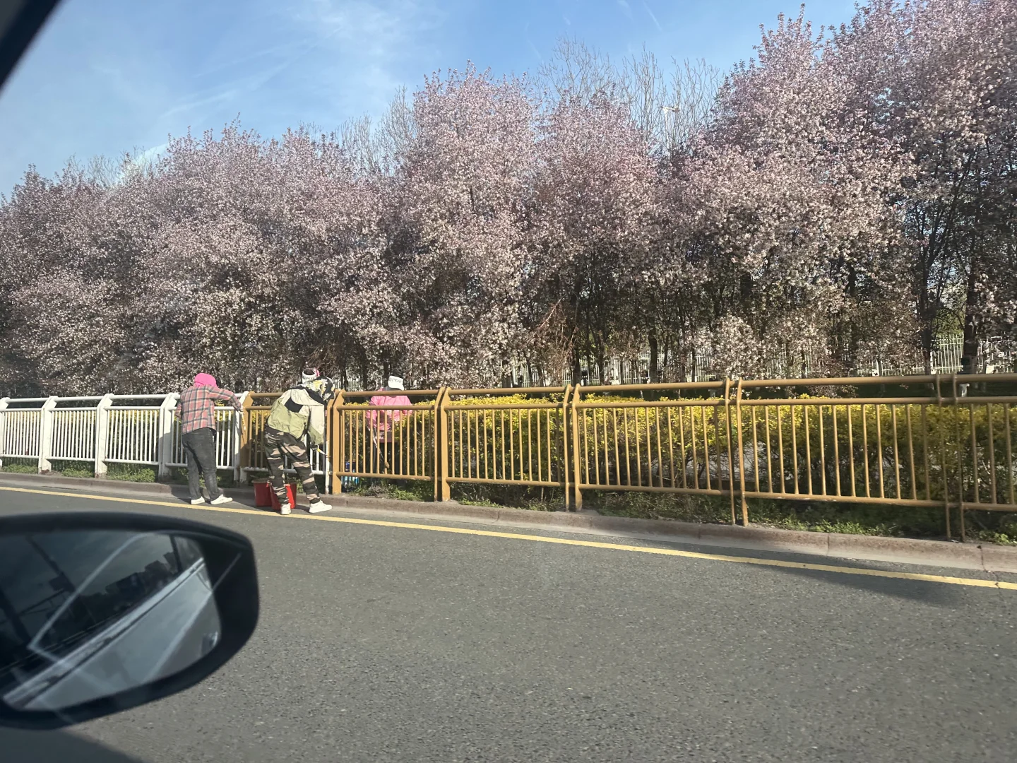 乌鲁木齐会展片区栏杆刷黄漆后续