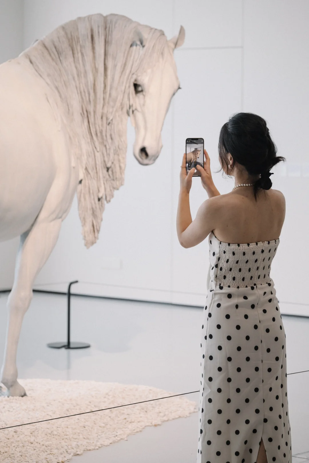 广州超出片新展 Ⅰ 奇兽众生,完美却忧愁