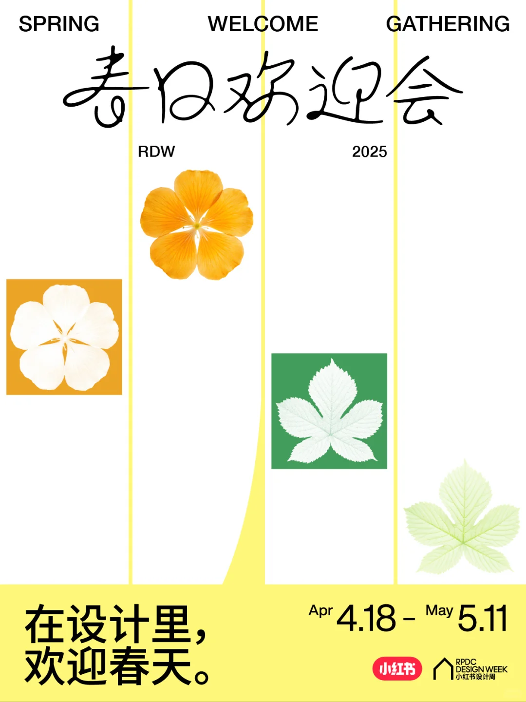 ?春日欢迎会上线！?这条花路我能走100遍