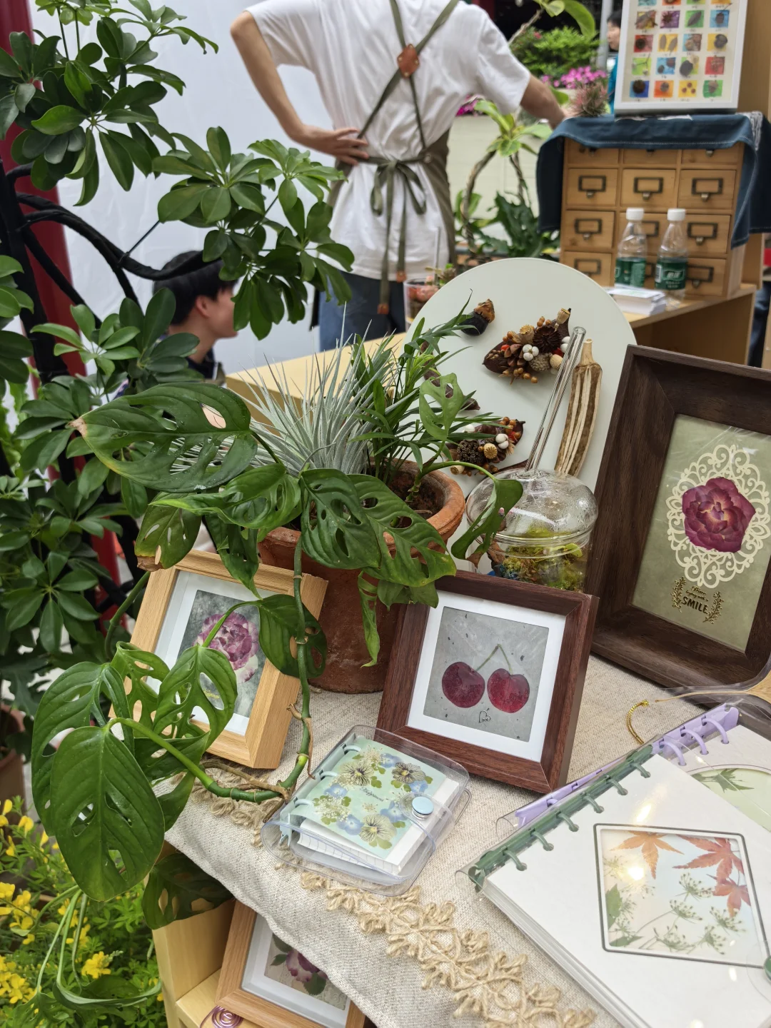 前滩花展薅羊毛