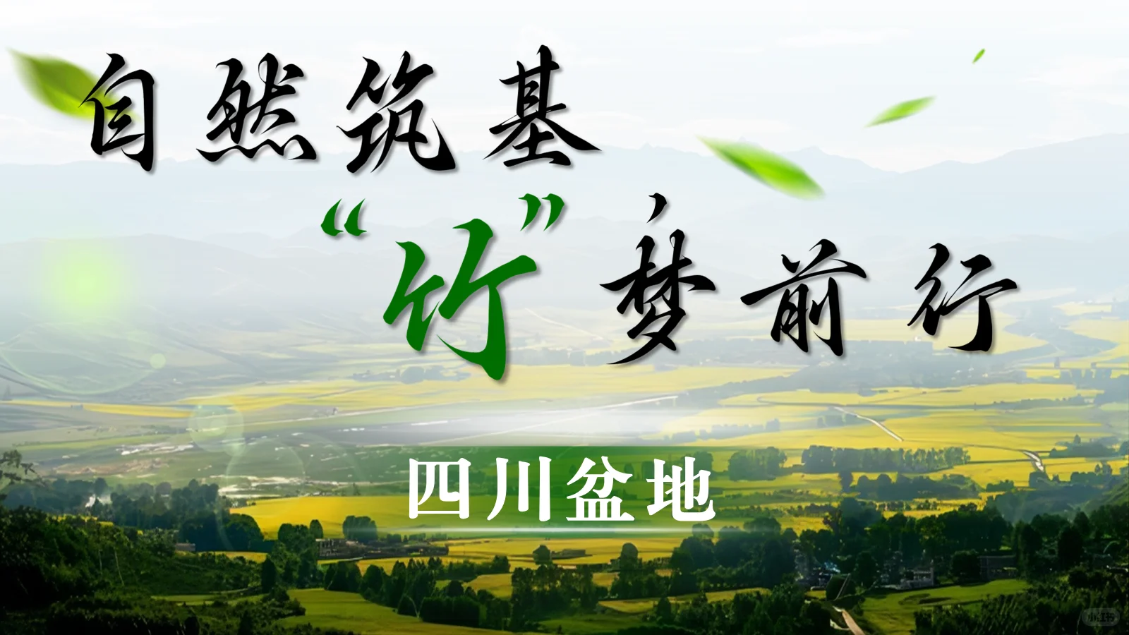 八下区域地理一镜到底，轻松一等奖