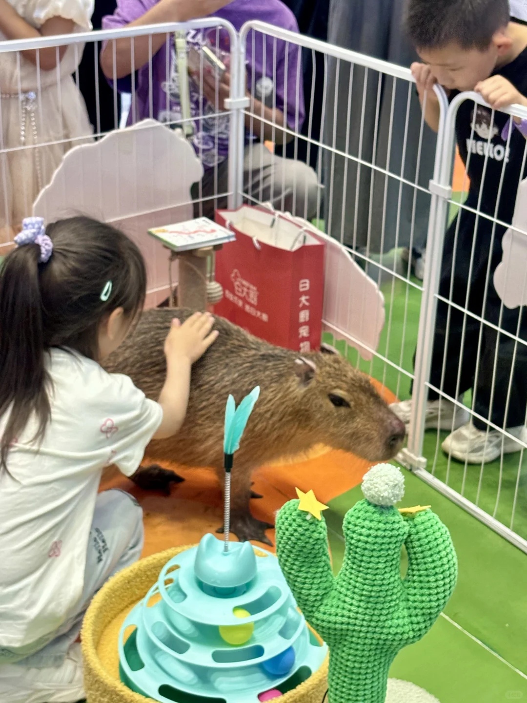 海尔✖️卡皮巴拉｜空降浐灞国际会展中心