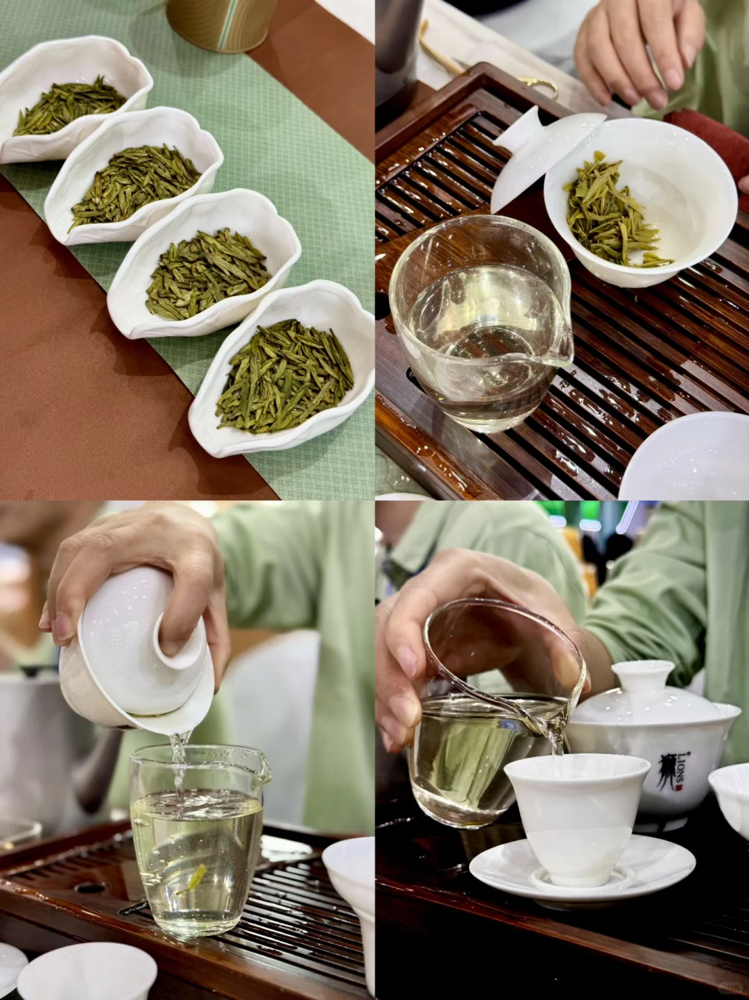 “茶小白”勇闯茶博会…问就是醉茶了??‍?