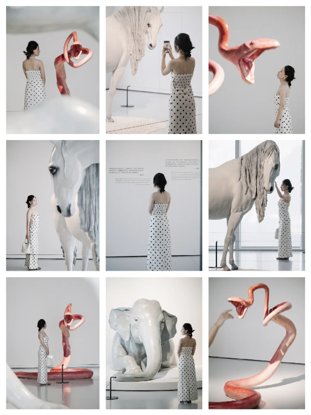 广州超出片新展 Ⅰ 奇兽众生,完美却忧愁