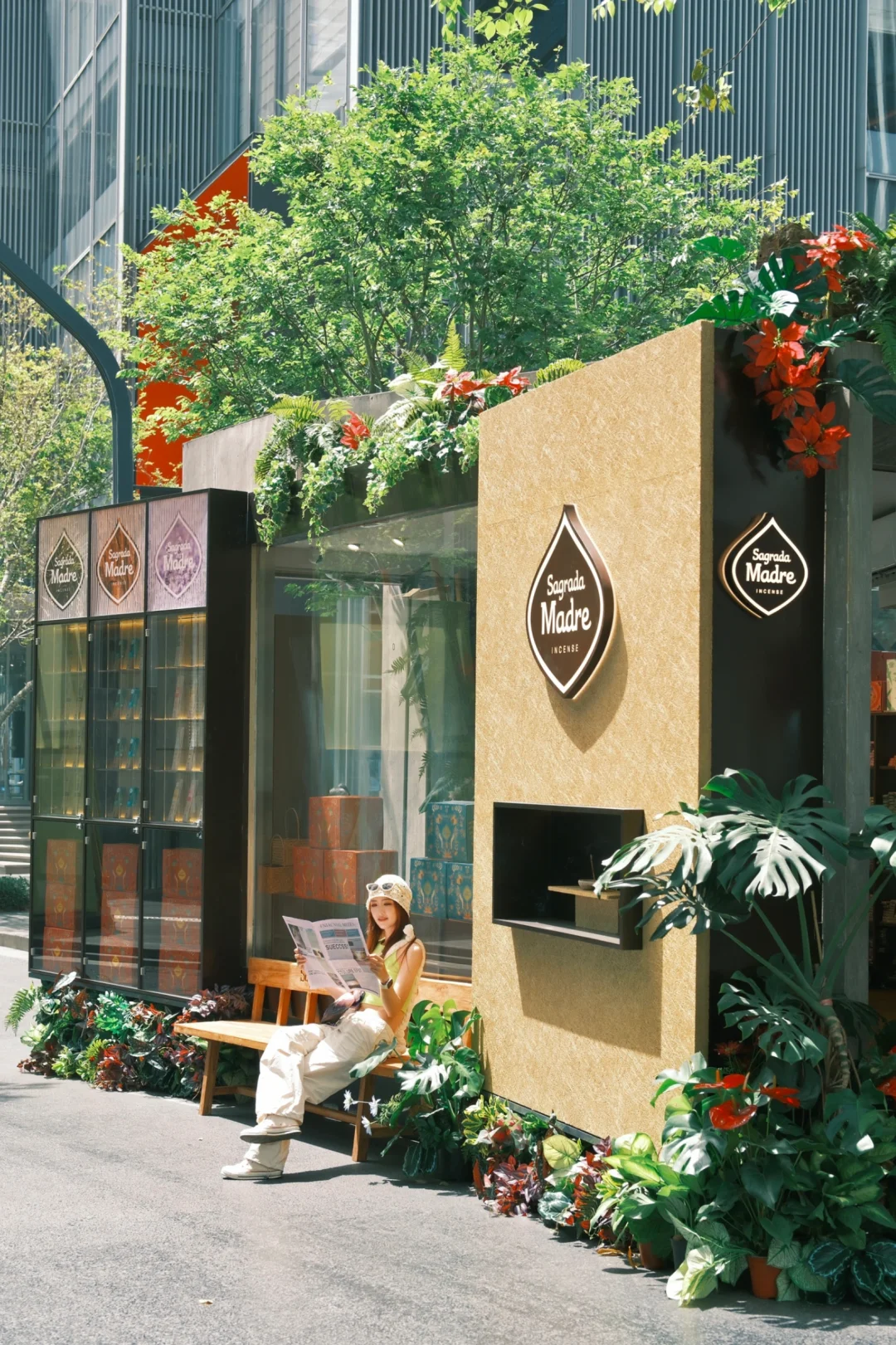 深圳?藏在街区里的绿意?春日氛围?