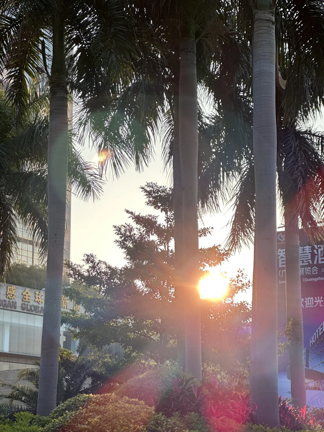 魔灯当代艺术博览会｜艺术无解