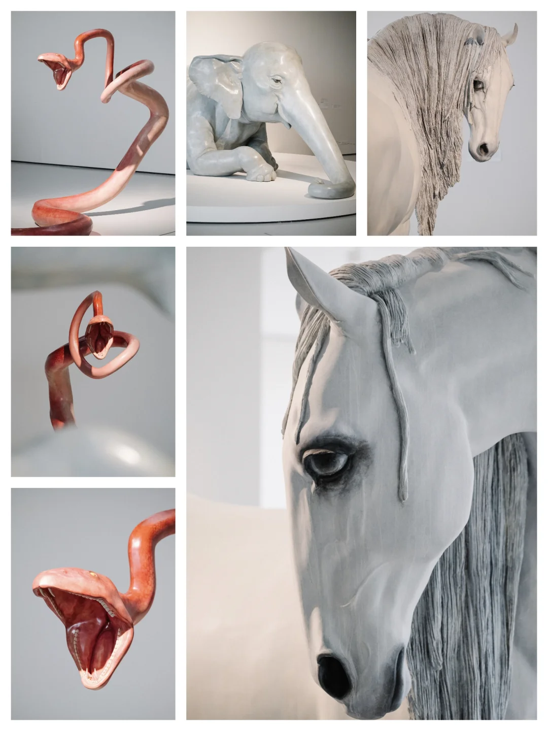 广州超出片新展 Ⅰ 奇兽众生,完美却忧愁