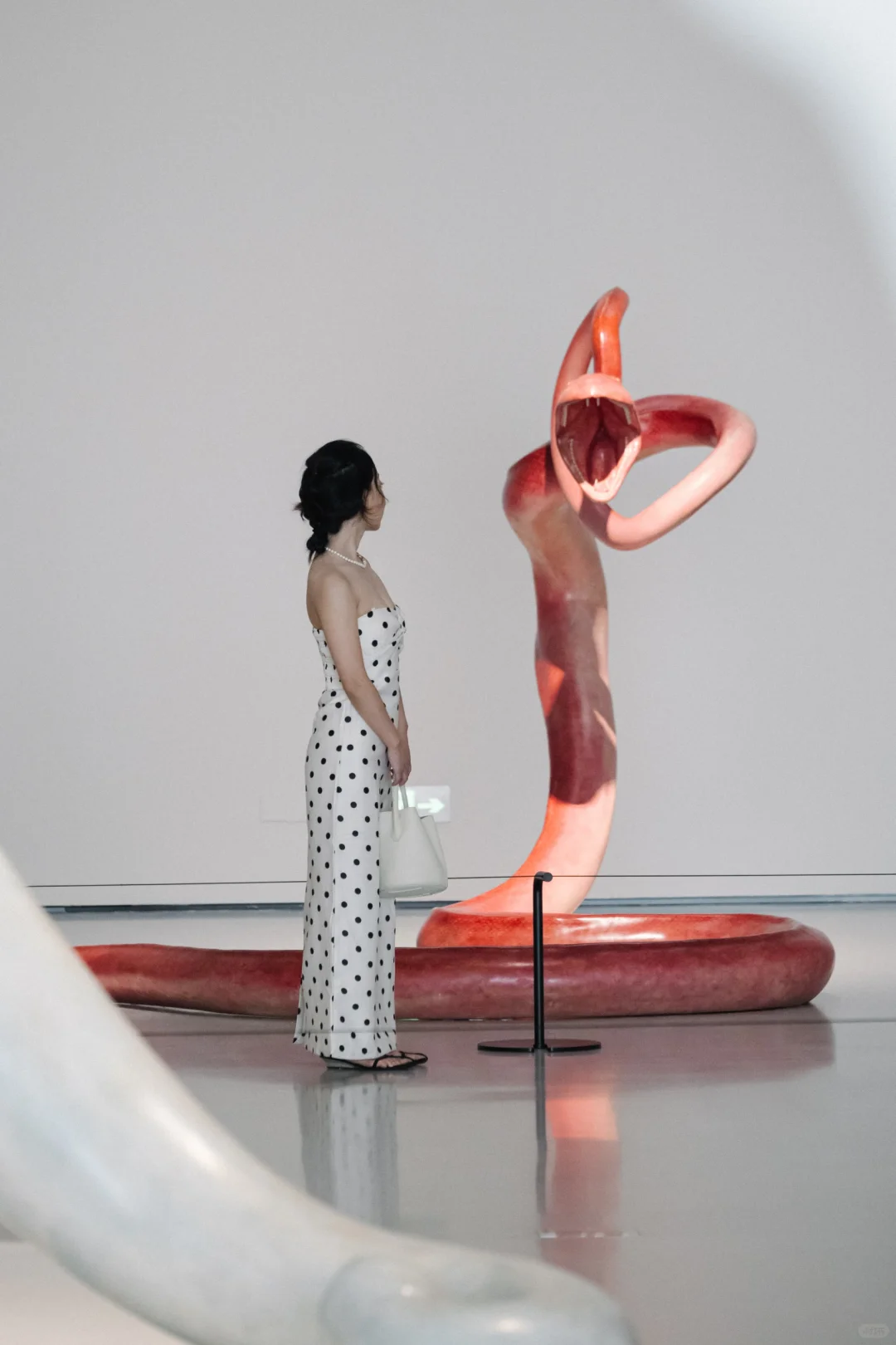 广州超出片新展 Ⅰ 奇兽众生,完美却忧愁