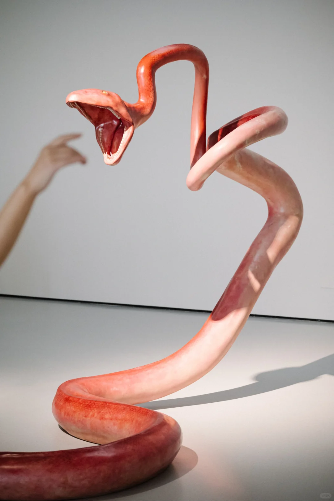 广州超出片新展 Ⅰ 奇兽众生,完美却忧愁