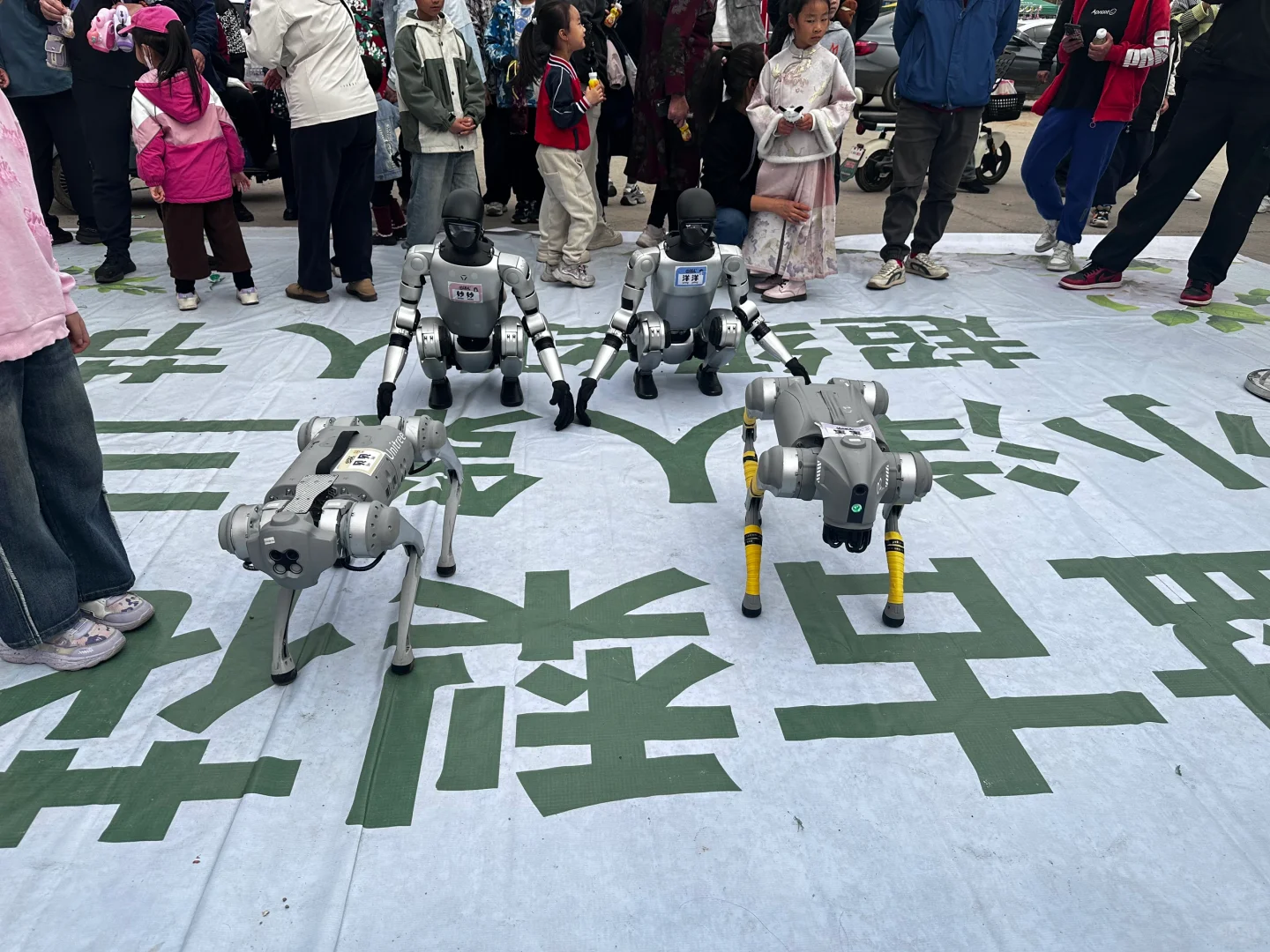 机器人商业会展