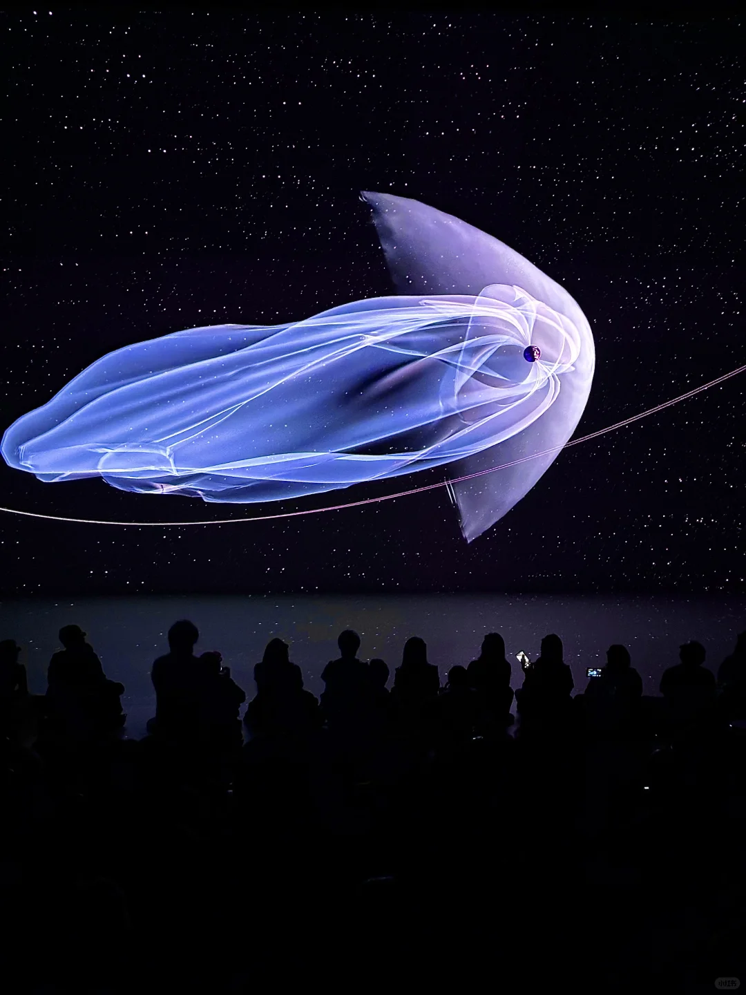 可惜你不在上海！宇宙的震撼浪漫你感受不到