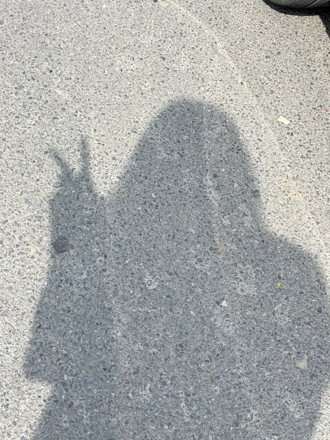 临沂模特｜展会的一天